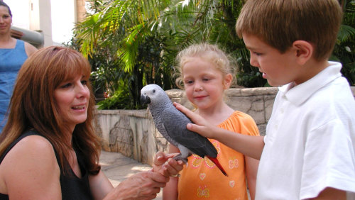 Bird Kingdom Niagara Falls