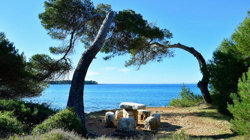 Cruise to Ile Sainte-Marguerite