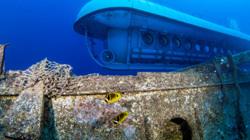 Atlantis Premium Submarine Adventure