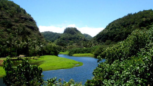 Waterfall Hike & Circle Island Eco Tour