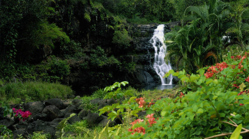 Waimea Falls & Haleiwa Tour by Tachibana