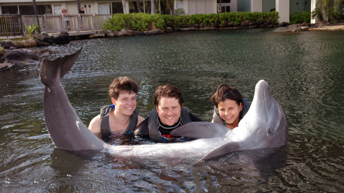 Family Dolphin Program