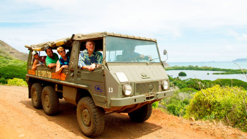 Jungle Expedition & Nature Tour