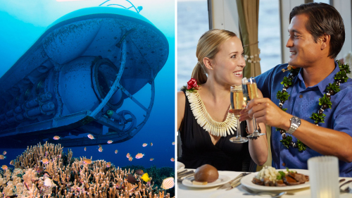 Atlantis Sumbarine and Dinner Cruise Combo