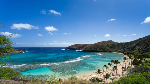 Oahu Circle Island with Pearl Harbor from Kauai Small-Group Tour