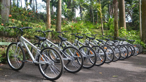 Coyaba Bicycle Tour