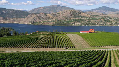 Okanagan Falls Wine Tour from Penticton