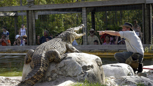 Gatorland Admission