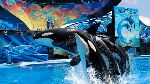 SeaWorld® Orlando Tickets