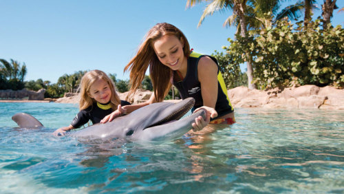 Discovery Cove® Resort Packages