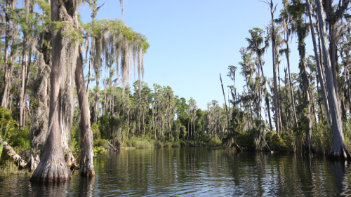 Butler Chain of Lakes Boat Tour