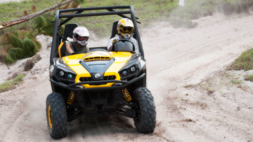 Dune Buggy Rental