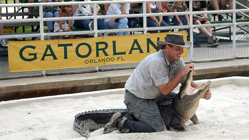 Gatorland & Zipline