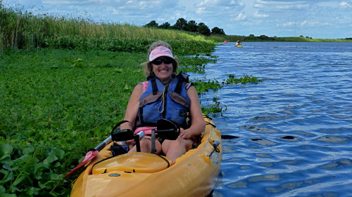 Manatee Encounter & Kayak Tour in Blue Spring State Park