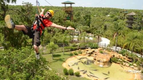 Gatorland & Zipline