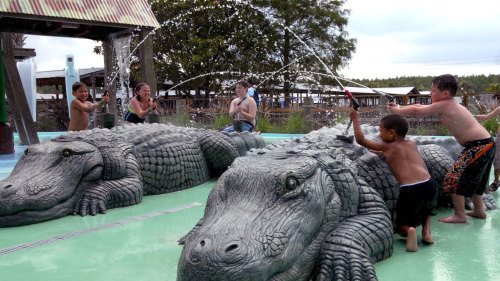 Gatorland & Airboat Ride by Grayline