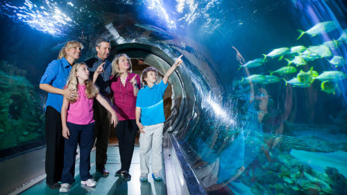 SEA LIFE Orlando with Multi-Attraction Pass