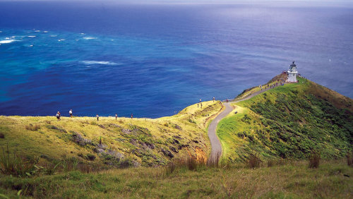 7-Day Bay of Islands & Rotorua Tour by AAT Kings