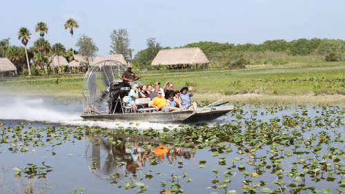Billie Swamp Safari & Airboat Ride