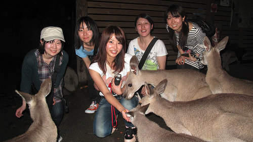 Night Tour of Cairns Zoo by Doki Doki Tours