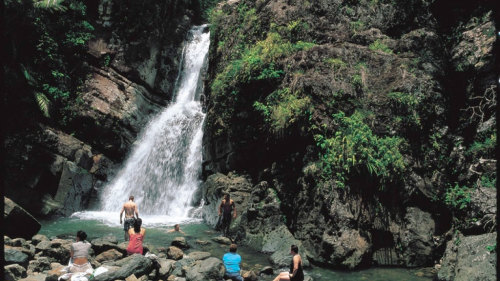 Guided El Yunque Rainforest & Beach Tour