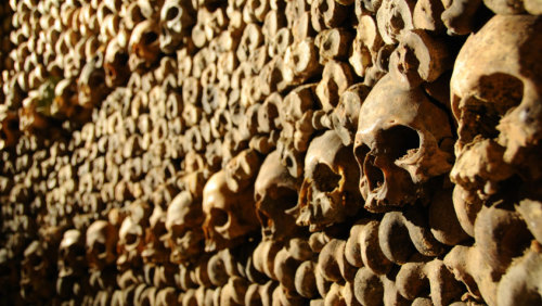 Skip-the-Line: The Catacombs of Paris Tour