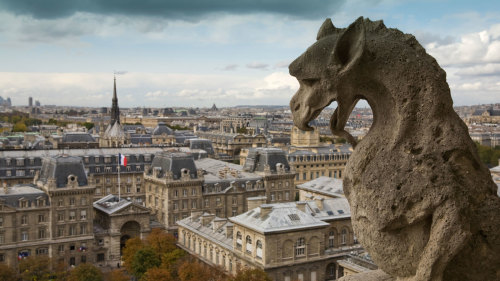 Notre Dame Cathedral Tour