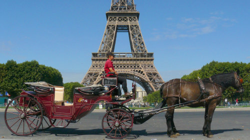 Horse-Drawn Carriage Ride by Manstouch Travel