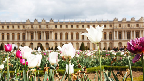 Skip-the-Line: Versailles Palace & Gardens Tour