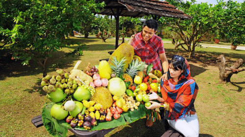 Private Tropical Fruit Farm Tour by Tour & Incentive Travel