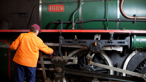 The Workshops Rail Museum Admission & Rail Tour