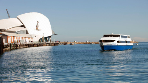 Fremantle Cruise with Lunch