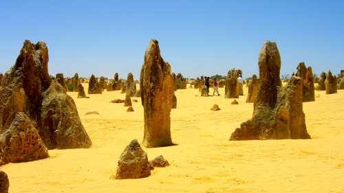 Pinnacles Desert & New Norcia Day Tour by Gray Line