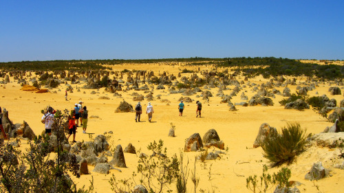 Pinnacles Desert Day Tour with 4-Wheel-Drive Adventure by Gray Line