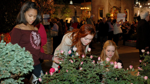 Philadelphia Flower Show - General Admission & Evening Events