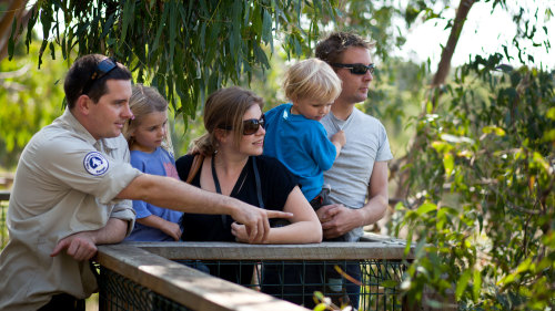 Phillip Island Small-Group Eco Tour