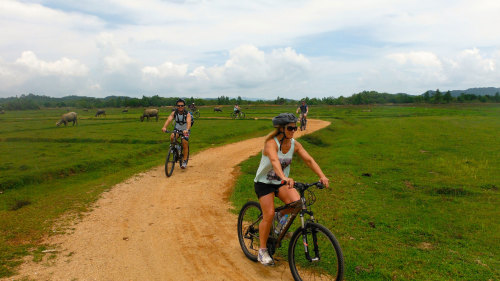 Koh Yao Noi Bike Tour