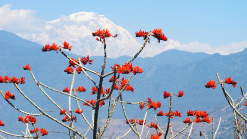 Small-Group Pokhara Hike Tour by Urban Adventures