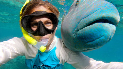 Great Barrier Reef Snorkeling Cruise by Calypso Reef Charters