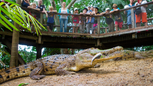 Wildlife Habitat Port Douglas Admission