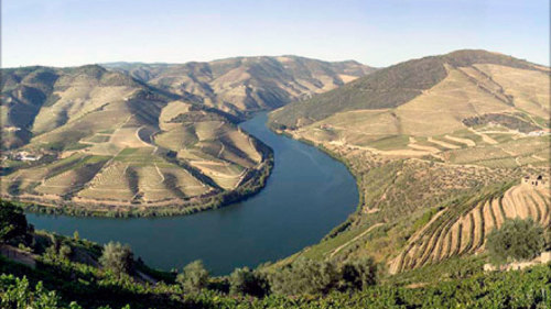 Douro Valley Full-Day Tour with Winetasting