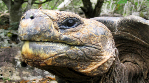 5-Day Galápagos Small-Group Tour