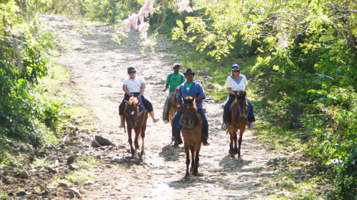 Horseback Riding Adventure