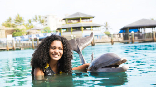 Ocean World Day Pass & Dolphin Swim