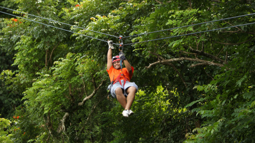 Canopy Adventure Zipline