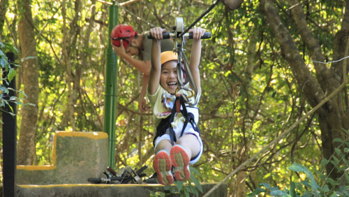 Jungle Canopy Zipline Tour