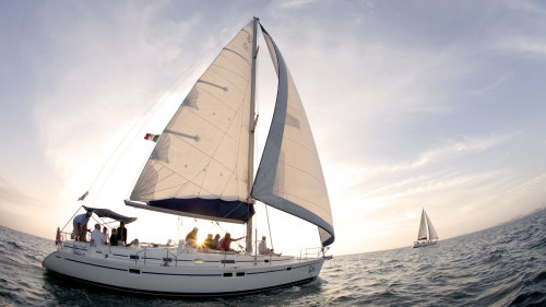 Luxury Sailing with Whales