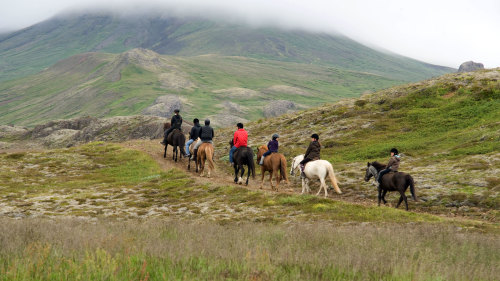 Horse Riding & Golden Circle Full-Day Tour