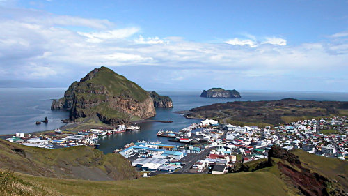 Vestmannaeyjar Islands Full-Day Tour