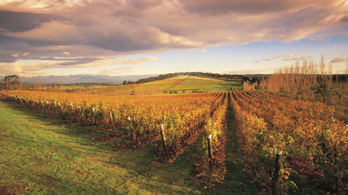 Richmond & Wine Half-Day Tour by Boutique Wine Tours Tasmania